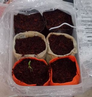 ȂƂ-01-20230318.jpg
