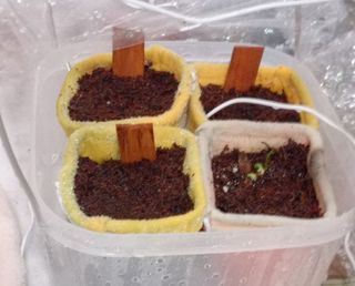 ȂƂQ-01-20230318.jpg