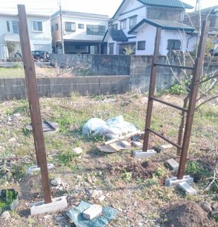 パーゴラ2-06-20240414.jpg
