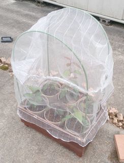ʎU-20230525.jpg