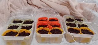 kŏIg-01-20230318.jpg