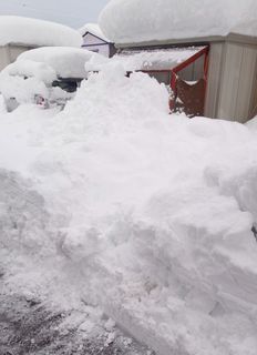 雪景色-006-20230130.jpg